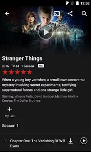 Netflix interface