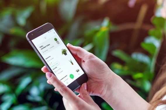 A woman using Planter - AI-based custom app solution