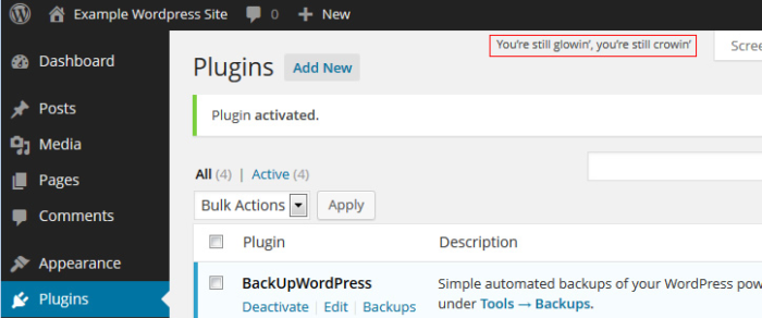 WordPress and its HelloDolly plugin