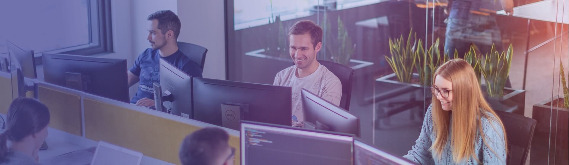 Our software development team of experts