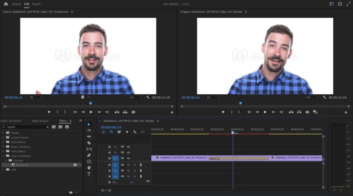 Video Editing and Post-Production Tools: Adobe Sensei