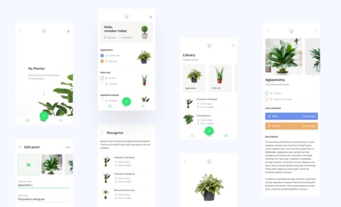 Planter: useful plant care application created with Flutter
