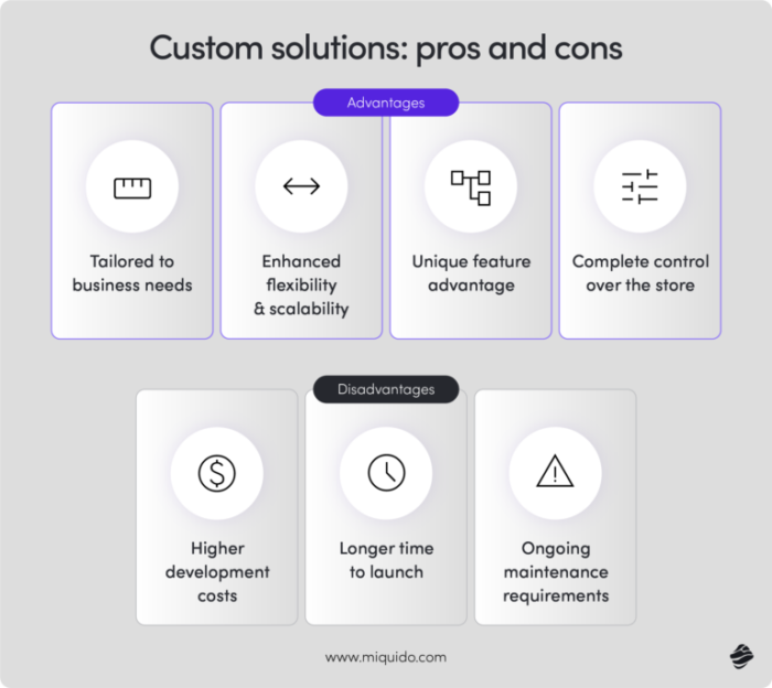custom solutions: pros and cons