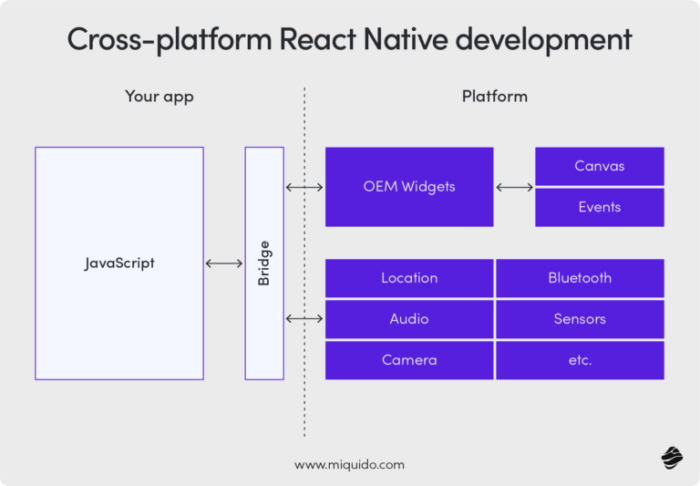 cross platform react native development