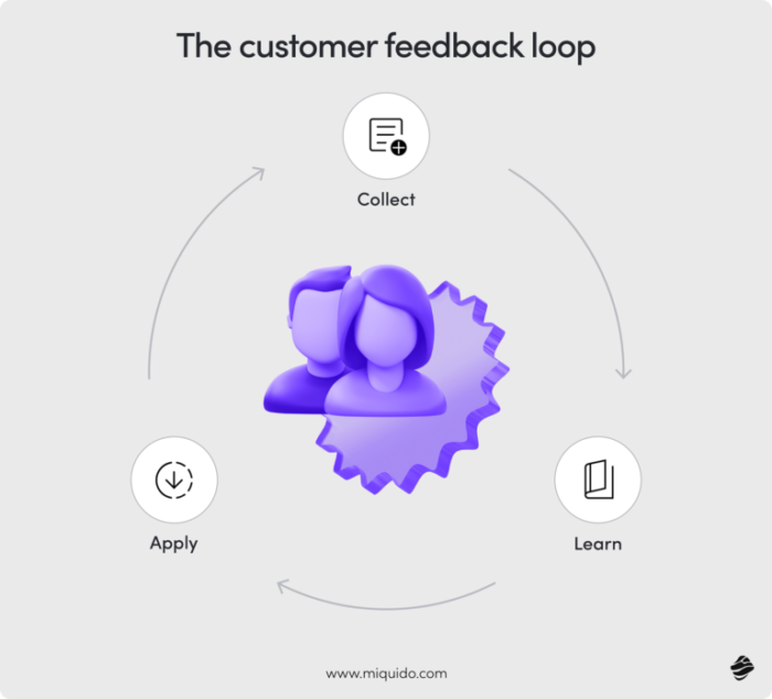 the customer feedback loop