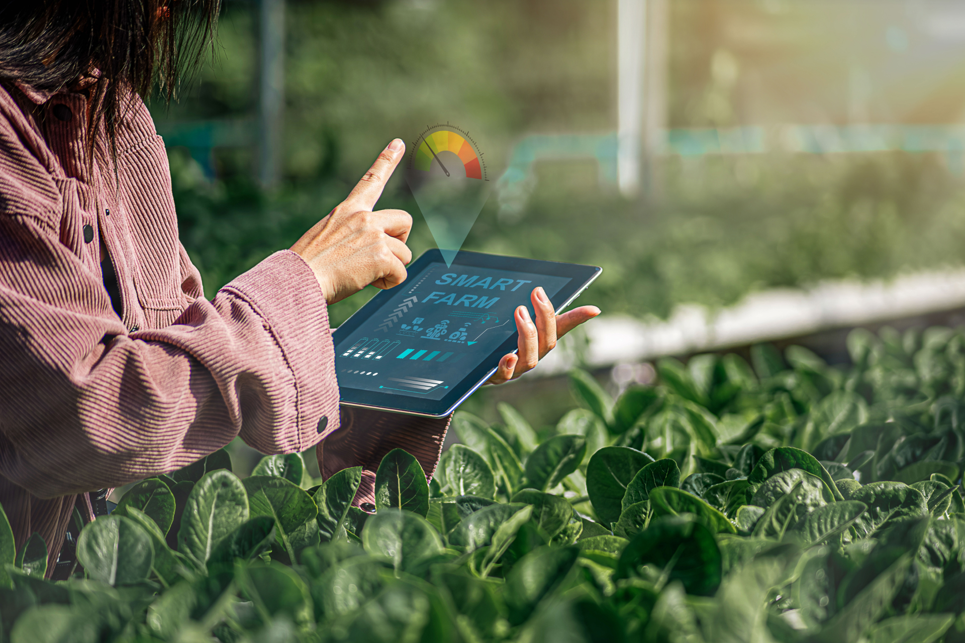 [header] top 10 foodtech startups to watch in 2025