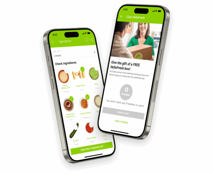 hellofresh quote mobile  foodtech apps