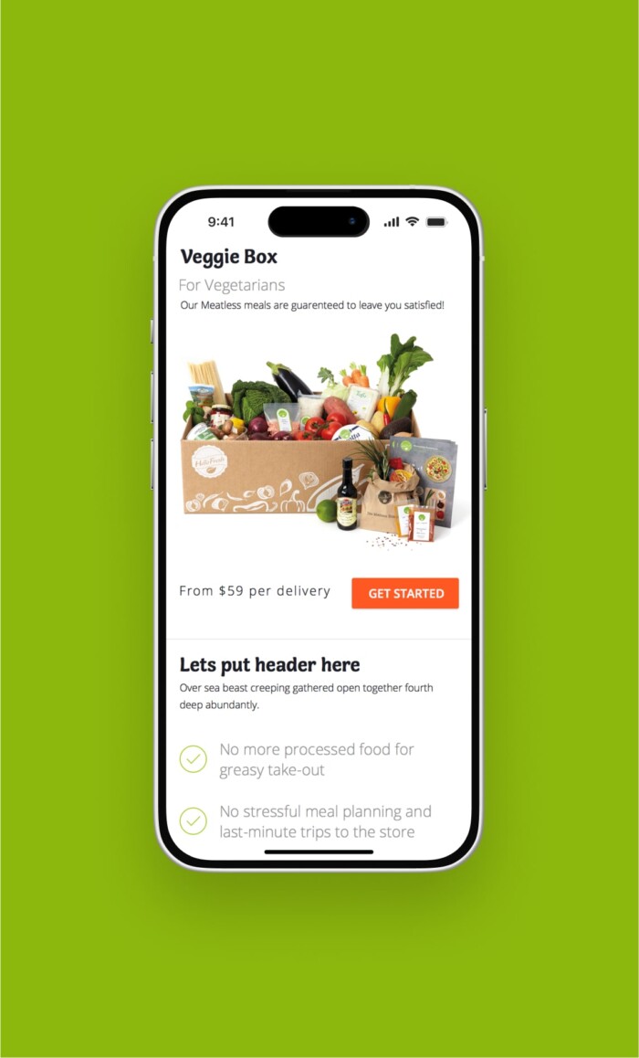 hellofresh portfolio img 6