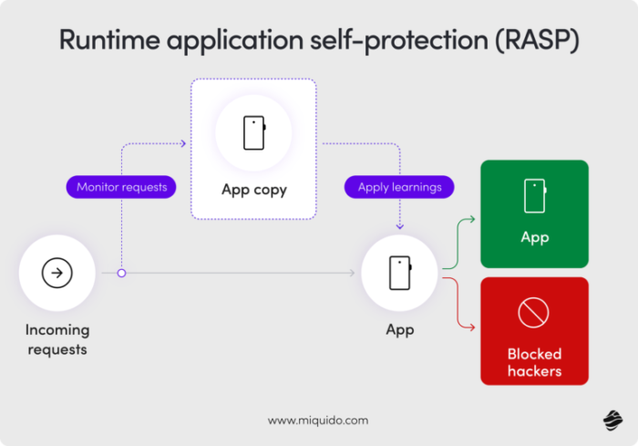 runtime application self-protection (RASP)