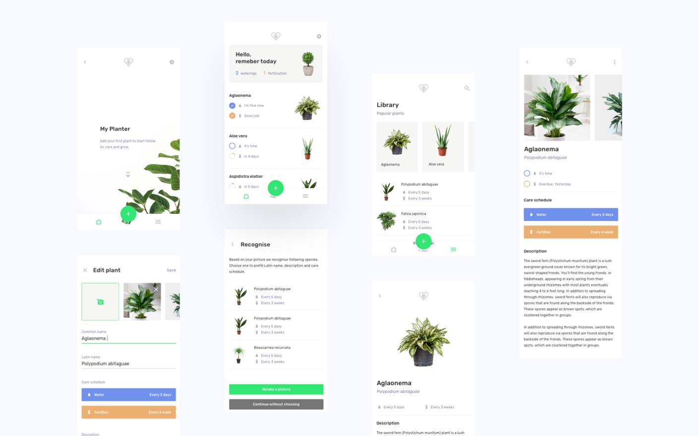 Planter - our plant identification app solution