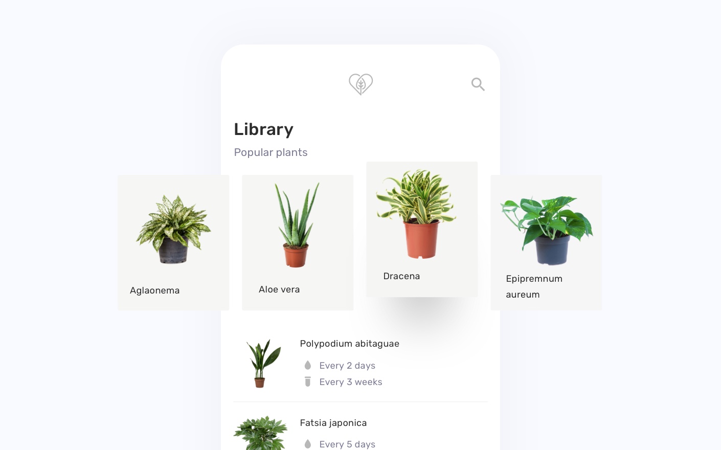 Planter - our plant identification mobile app solution
